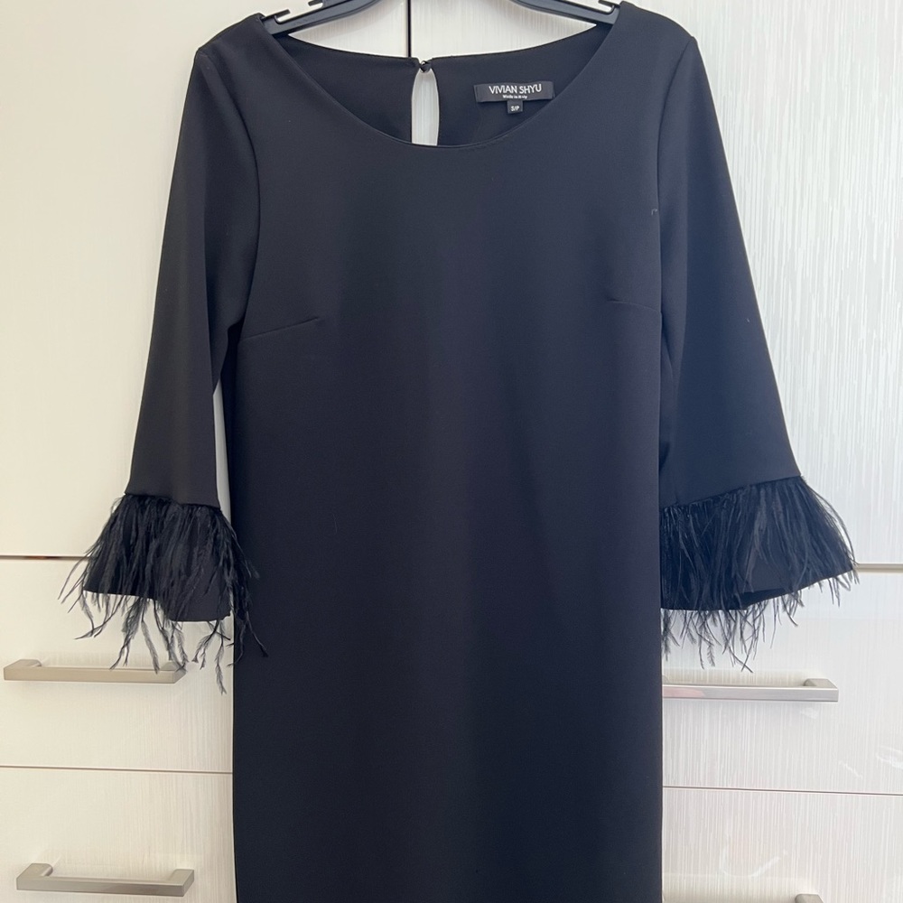 Black dress with black feathers design